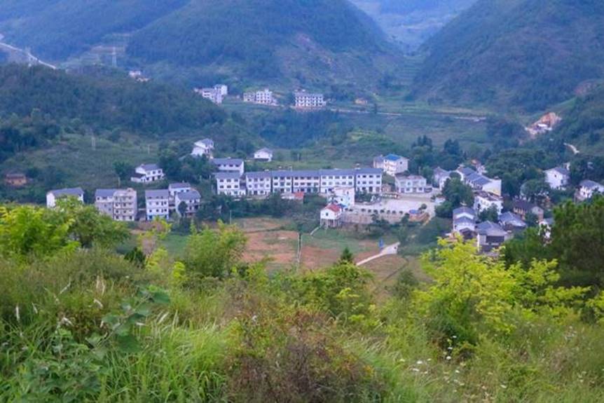 说明: 说明: 图片一